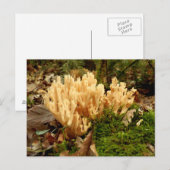 Ramaria stricta Fungi Briefkaart (Voorkant / Achterkant)