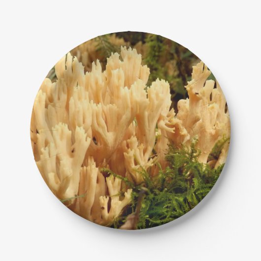Ramaria stricta Fungi Paper Borden Papieren Bordje (Voorkant)