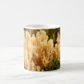 Ramaria stricta Paddenstoelen Mok (Center)