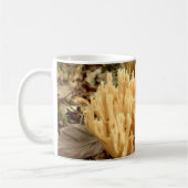 Ramaria stricta Paddenstoelen Mok (Links)
