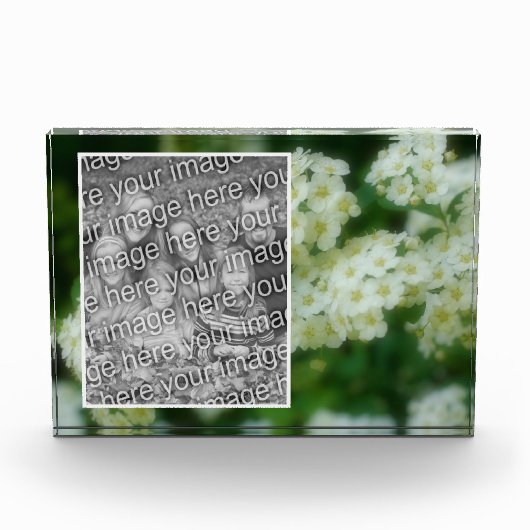 Rambling Wild White Roses Voeg je eigen toe Fotoblokken (Voorkant)