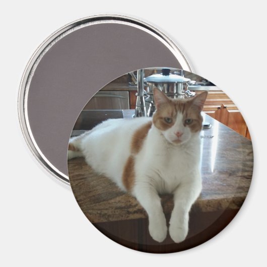 Rambo - Oranje Kat Magneet (Voorkant / Achterkant)