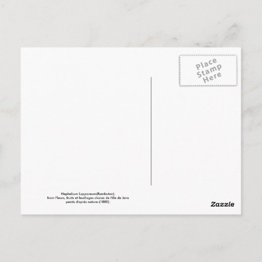 Rambutan Briefkaart (Achterkant)