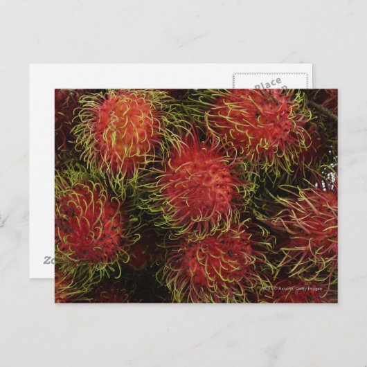 Rambutan Briefkaart (Voorkant / Achterkant)