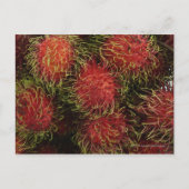 Rambutan Briefkaart (Voorkant)