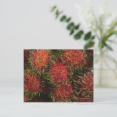 Rambutan Briefkaart (Staand voorkant)