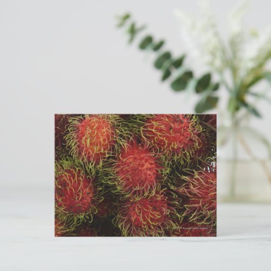 Rambutan Briefkaart (Staand voorkant)