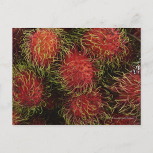 Rambutan Briefkaart