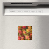 Rambutan Fruit at Can Duoc Market Magneet (Insitu (Vaatwasser))