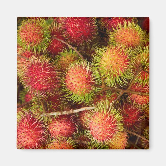 Rambutan Fruit at Can Duoc Market Magneet (Voorkant)