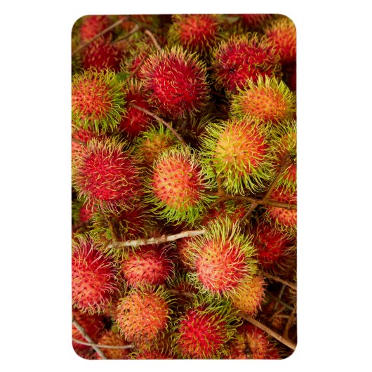 Rambutan Fruit at Can Duoc Market Magneet (Verticaal)