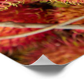 Rambutan Fruit at Can Duoc Market Poster (Hoek)