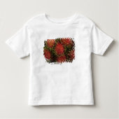 Rambutan Kinder Shirts (Voorkant)