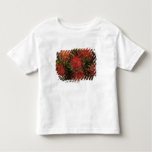 Rambutan Kinder Shirts