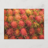 Rambutan Tropical Fruit Briefkaart (Voorkant)