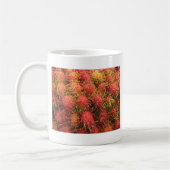 Rambutan Tropical Fruit Koffiemok (Links)
