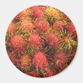 Rambutan Tropical Fruit Magneet (Voorkant)