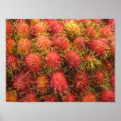 Rambutan Tropical Fruit Poster (Voorkant)