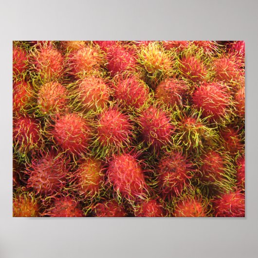 Rambutan Tropical Fruit Poster (Voorkant)