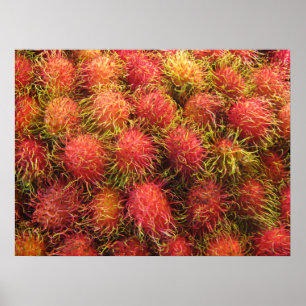 Rambutan Tropisch Fruit Poster