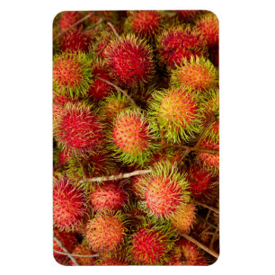 Rambutanfruit op Can Duoc-markt Magneet