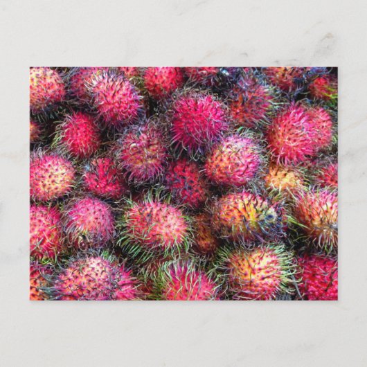 Rambutans fotokaart briefkaart (Voorkant)