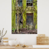 Ramen en Wijnranken Poster (Keuken)