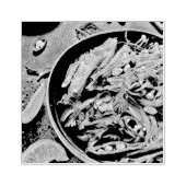 Ramen-illustraties Rubberstempel (Afrduk)