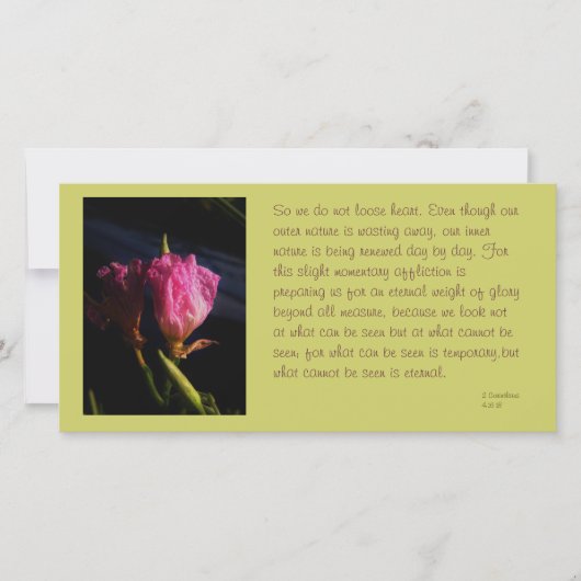 ramen van katten bloemen 018.JPG, dus laten we nie (Voorkant)