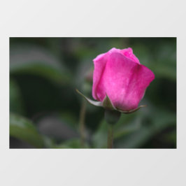 Ramensticker - Elegante Roze Roosknop Raamsticker