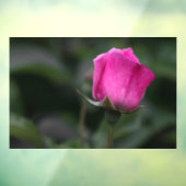 Ramensticker - Elegante Roze Roosknop Raamsticker (Vel 3)