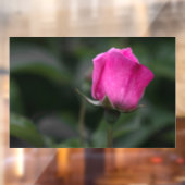 Ramensticker - Elegante Roze Roosknop Raamsticker (Vel 2)