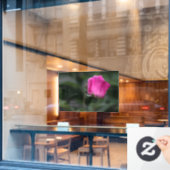 Ramensticker - Elegante Roze Roosknop Raamsticker (Cafe Raam)