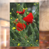 Ramensticker - Rode Klaprozen Fotografie Raamsticker (Vel 2)