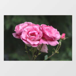 Ramensticker - Roze Rozen Fotografie Raamsticker