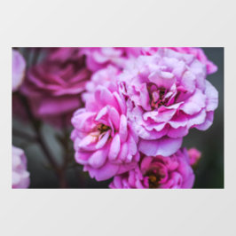 Ramensticker - Zachte Roze Rozen Raamsticker