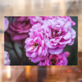 Ramensticker - Zachte Roze Rozen Raamsticker (Vel 2)