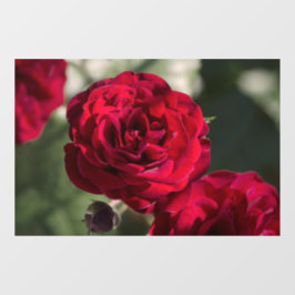 Ramenstickers Rozen - Fluwelen Glans Raamsticker