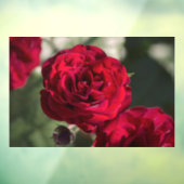Ramenstickers Rozen  - Fluwelen Glans Raamsticker (Vel 3)