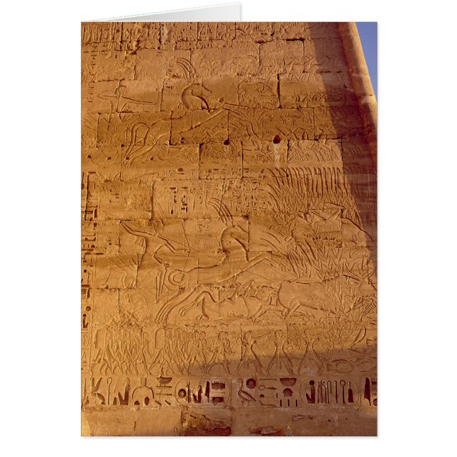 Ramesses III jacht op wilde stieren (Voorkant)