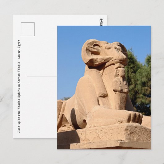 Ramkop-Sfinx in Karnaktempel - Egypte Briefkaart (Voorkant / Achterkant)