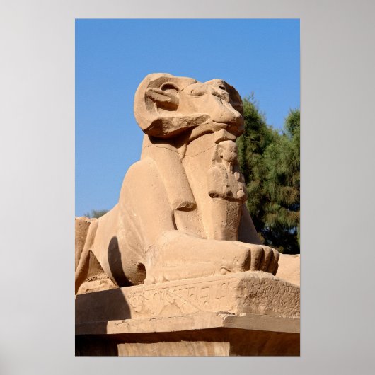 Ramkop Sfinx in Karnaktempel - Egypte Poster (Voorkant)