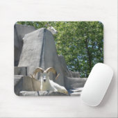 rammen muismat (Met muis)