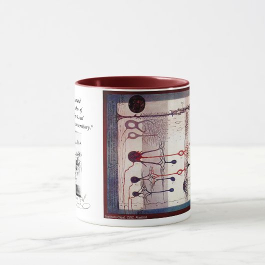 Ramon Y Cajal Mok (Midden)