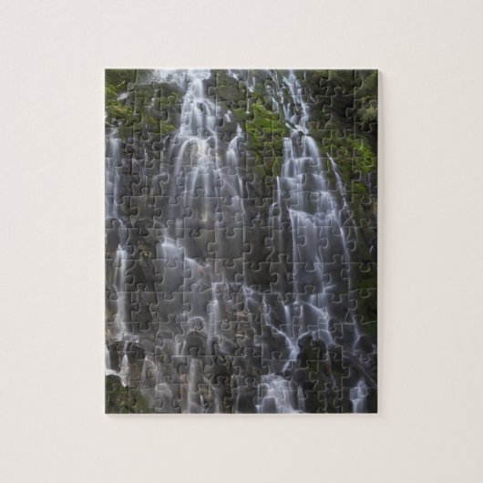Ramona Falls in Clackamas county, Oregon Legpuzzel (Verticaal)