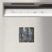 Ramona Falls in Clackamas county, Oregon Magneet (Insitu (Vaatwasser))