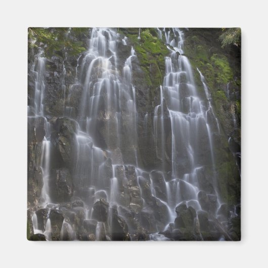 Ramona Falls in Clackamas county, Oregon Magneet (Voorkant)
