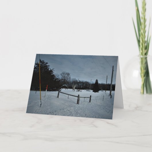 "Rampage in the Park" kerstKaart Kaart (Voorkant)