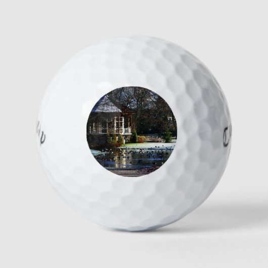 Rams Woerthe Tea House cwb gbm Golfballen (Voorkant)