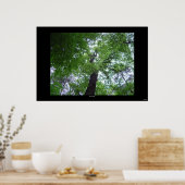 Ramsey Canopy Poster (Keuken)